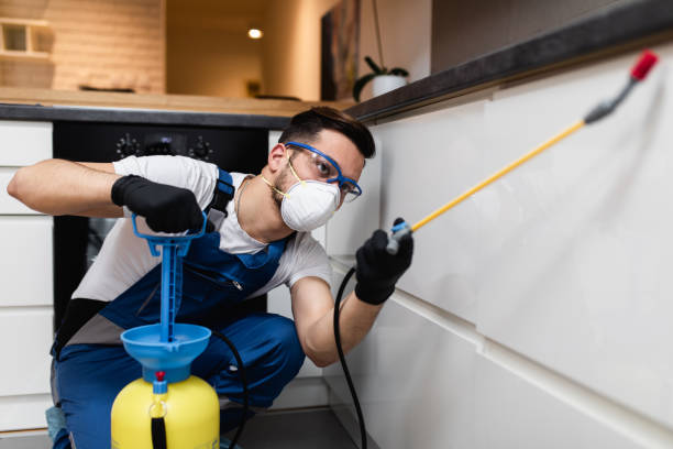 Best Cockroach Control Services  in Menonee, MI
