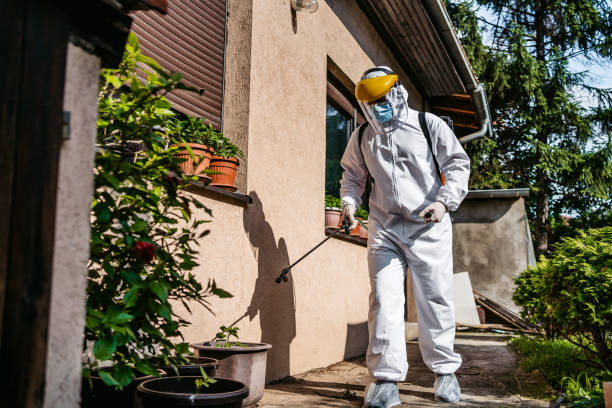 Best Pest Removal Services  in Menonee, MI