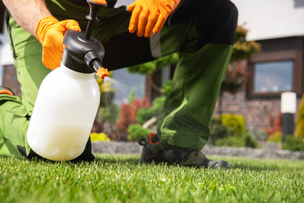 Best Local Pest Control Services  in Menonee, MI