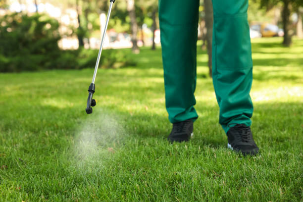Best Pest Prevention Services  in Menonee, MI