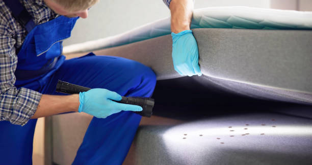 Best Best Pest Control Companies  in Menonee, MI
