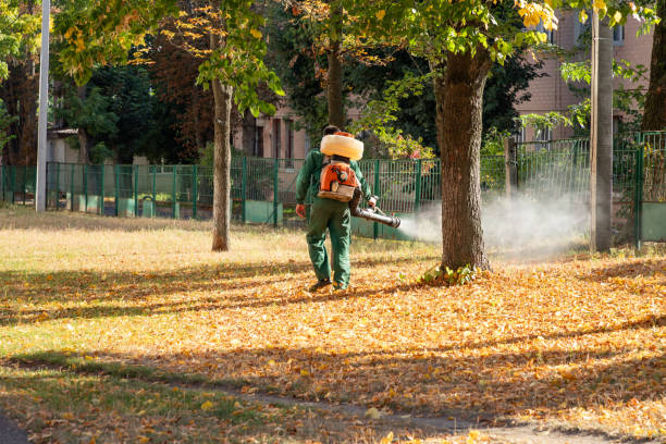 Best Bed Bug Extermination  in Menonee, MI