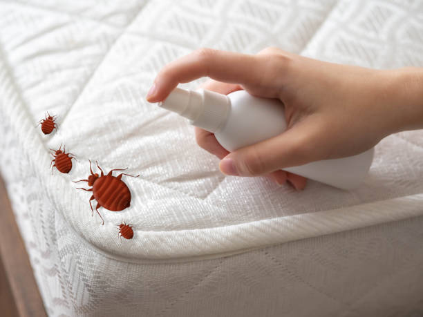 Best Pest Removal Services  in Menonee, MI