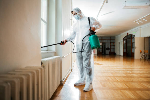 Best Wasp Removal Services  in Menonee, MI