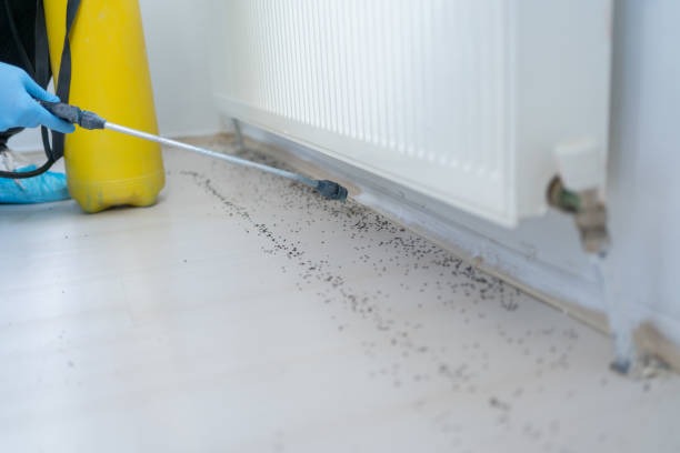 Best Termite Control Services  in Menonee, MI