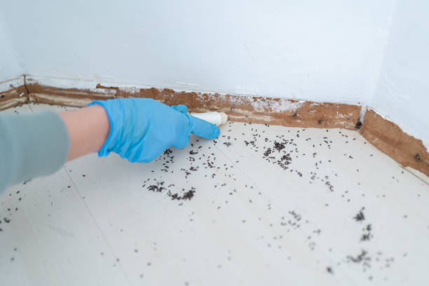 Best Mosquito Control Services  in Menonee, MI